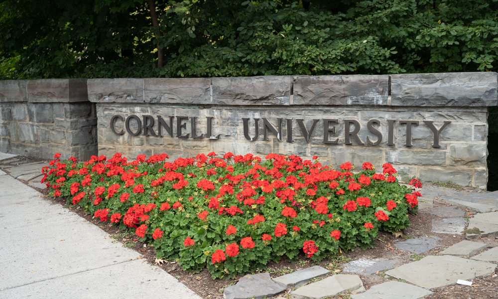 Cornell Supplement Essay Example Guide To Writing